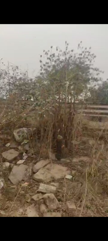 Plot Area in  Plot at Raj Nagar Extension – for Sale
