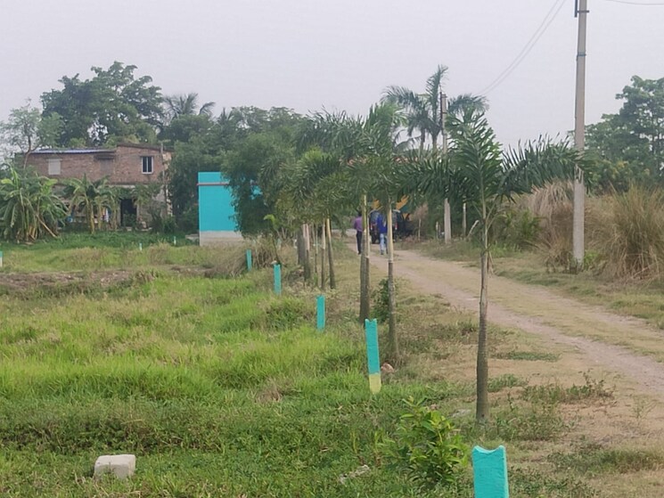 Garden, joka  2880 Sq.Ft. Plot In Joka Kolkata 8076090