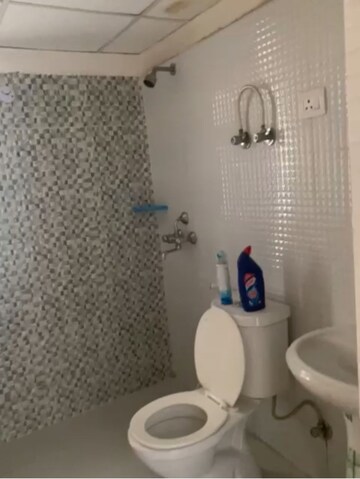 Bathroom in 3 BHK Apartment at Spring Meadows, Tech Zone 4 Greater Noida – for Sale