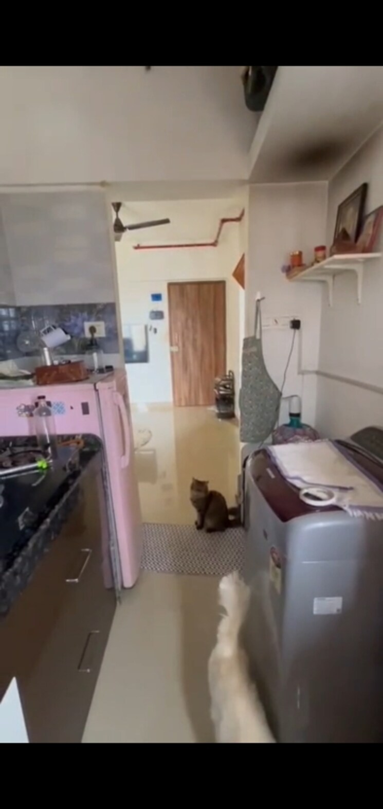 Master Bedroom, goregaon west 1 Bedroom 315 Sq.Ft. Apartment In Goregaon West Mumbai 8076401