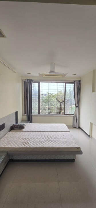 2 BHK Apartment For Rent in Sibylle Apartment Worli Mumbai  8076384