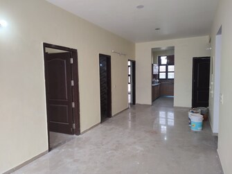 3 BHK Builder Floor For Resale in Omaxe Galleria Sector 14 Bahadurgarh  8060501