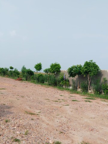 Plot Area in  Plot at Mohanpura – for Sale