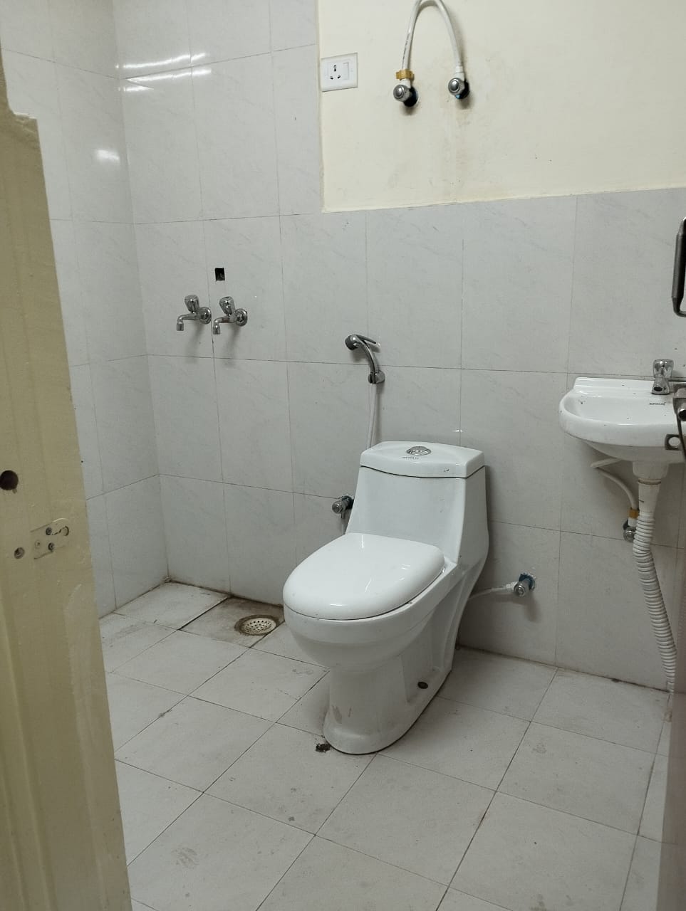 4 BHK + Servant Room Apartment For Sale in DLF Privana South