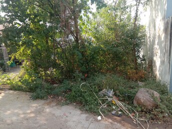 Plot For Resale in Basant Kunj Bhopal  8077005