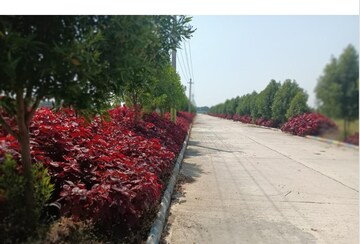  Plot – Exterior View View at Suvarna Kuteer, Shadnagar - for Sale