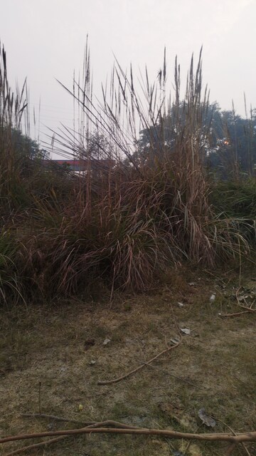 Plot Area in  Industrial Plot at Meerut Road – for Sale