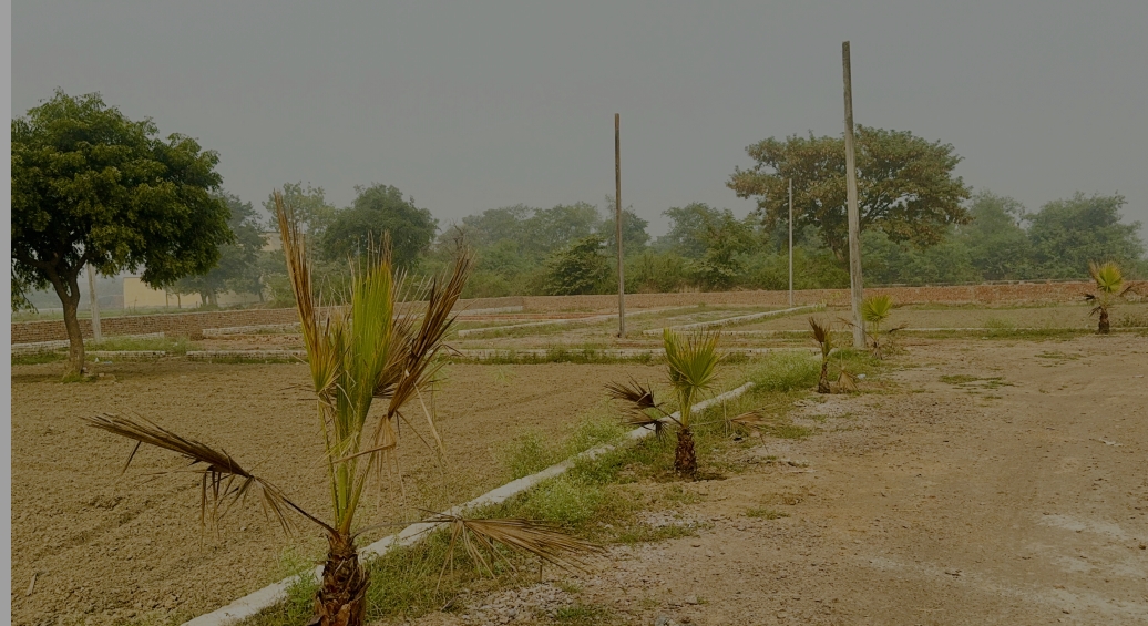 Plot For Sale in Rise Residence, Jewar, up