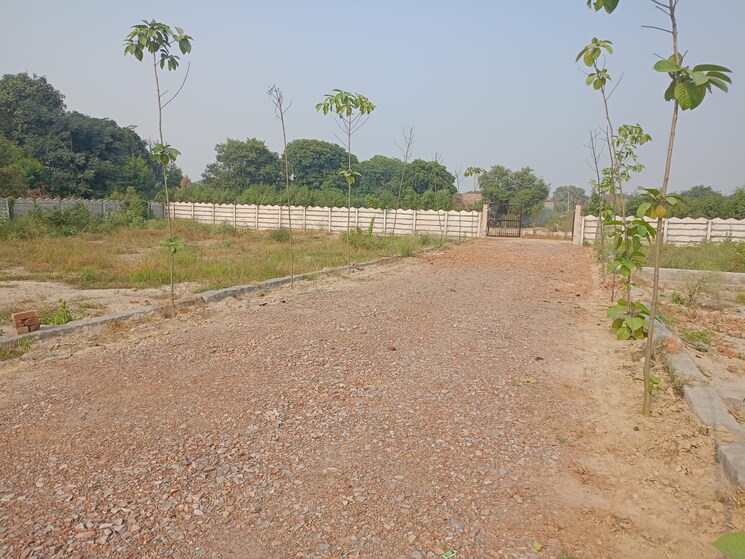 undefined, upsidc site b  100 Sq.Yd. Plot In Upsidc Site B Greater Noida 8077249