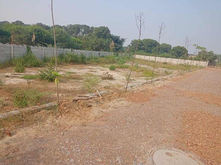 undefined, upsidc site b  60 Sq.Yd. Plot In Upsidc Site B Greater Noida 8077255