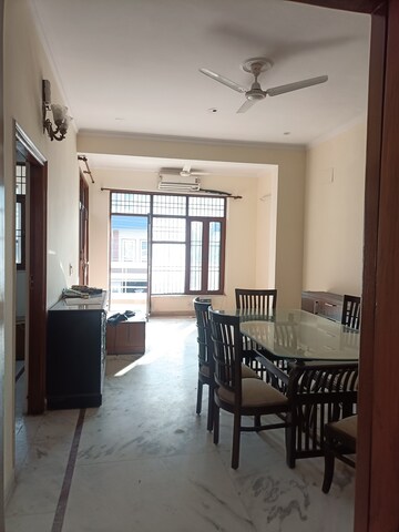Living Room in 2 BHK Builder Floor at Ansal Plaza Sector-23, Sector 23 – for Rent