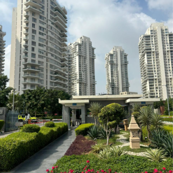 3.5 BHK Apartment For Rent in Unitech Palms South City 1 Gurgaon  8077416