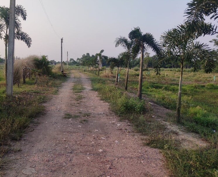 undefined, joka  2160 Sq.Ft. Plot In Joka Kolkata 8077449