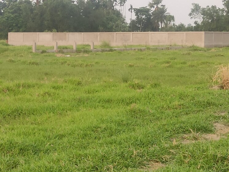 undefined, joka  2160 Sq.Ft. Plot In Joka Kolkata 8077453