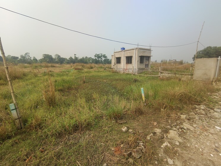 undefined, joka  2160 Sq.Ft. Plot In Joka Kolkata 8077453