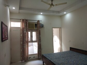 3 BHK Apartment For Rent in Motiaz Royal Citi Ambala Highway Zirakpur  8077515