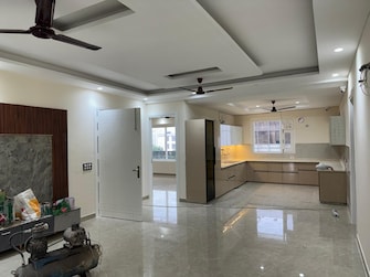 4 BHK Builder Floor For Rent in Sector 42 Faridabad  8077903