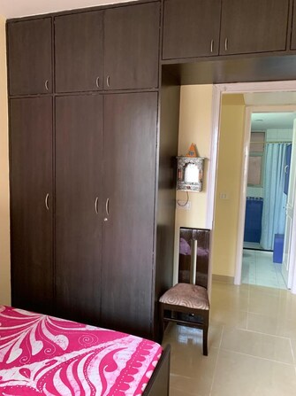 3 BHK Builder Floor For Rent in Unitech Arcadia South City 2 Gurgaon  8077947