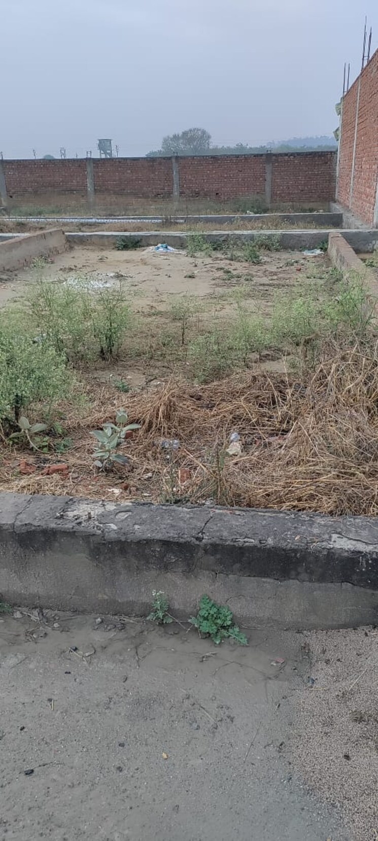 undefined, badalpur  72 Sq.Yd. Plot In Badalpur Greater Noida 8078016