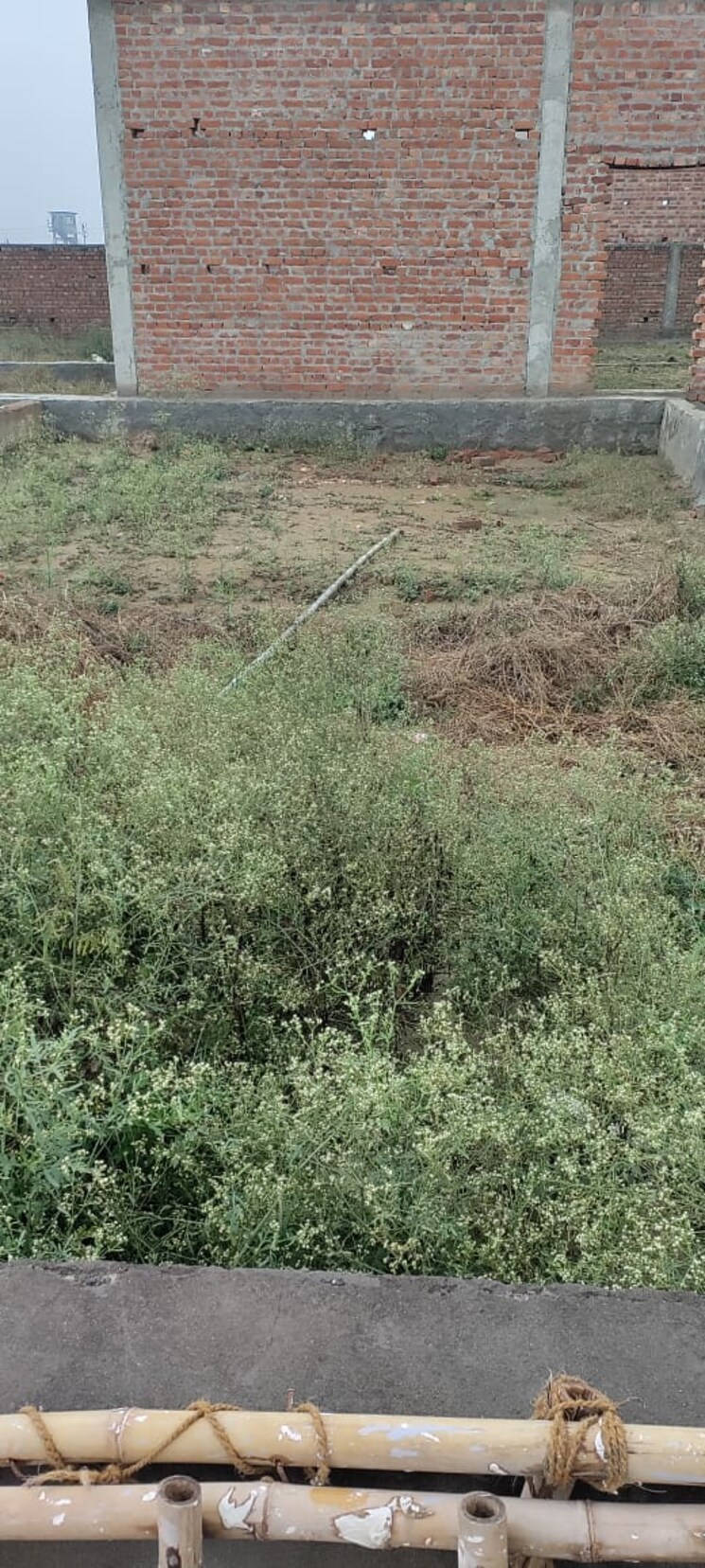 undefined, badalpur  72 Sq.Yd. Plot In Badalpur Greater Noida 8078016