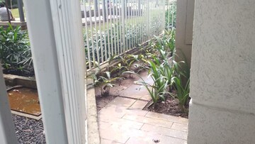 Balcony in 3 BHK Apartment at Dosti Vihar, Samata Nagar – for Sale