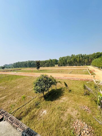Plot Area in  Plot at Ganeshpur – for Sale