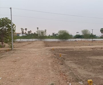 Plot Area in  Plot at Ahinsanagar – for Sale