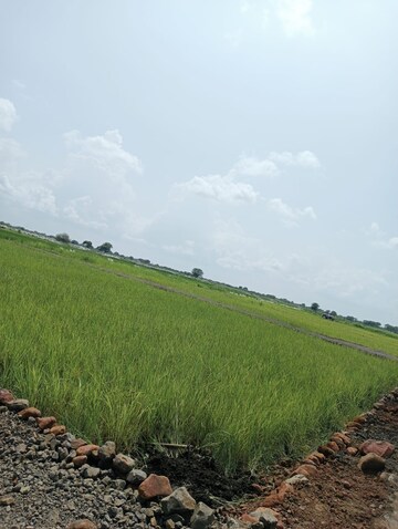 Plot Area in  Plot at Katangi – for Sale