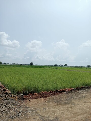 Plot Area in  Plot at Katangi – for Sale