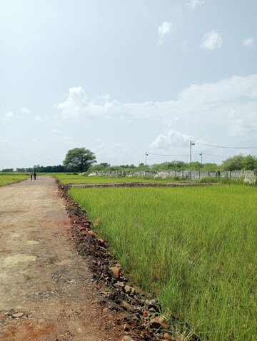 Plot Area in  Plot at Katangi – for Sale