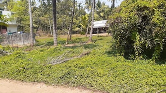 Plot For Resale in Chelakottukara Thrissur  8078633