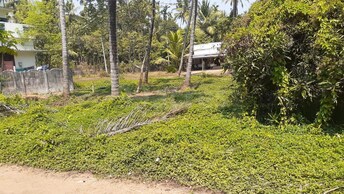 Plot For Resale in Chelakottukara Thrissur  8078633