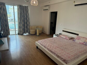 4 BHK Apartment For Rent in DLF The Pinnacle Dlf Phase V Gurgaon  8078722