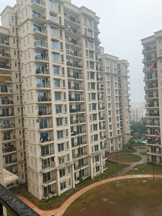 2 BHK Apartment For Resale in Signature The Serenas Sohna Sector 36 Gurgaon  8078728