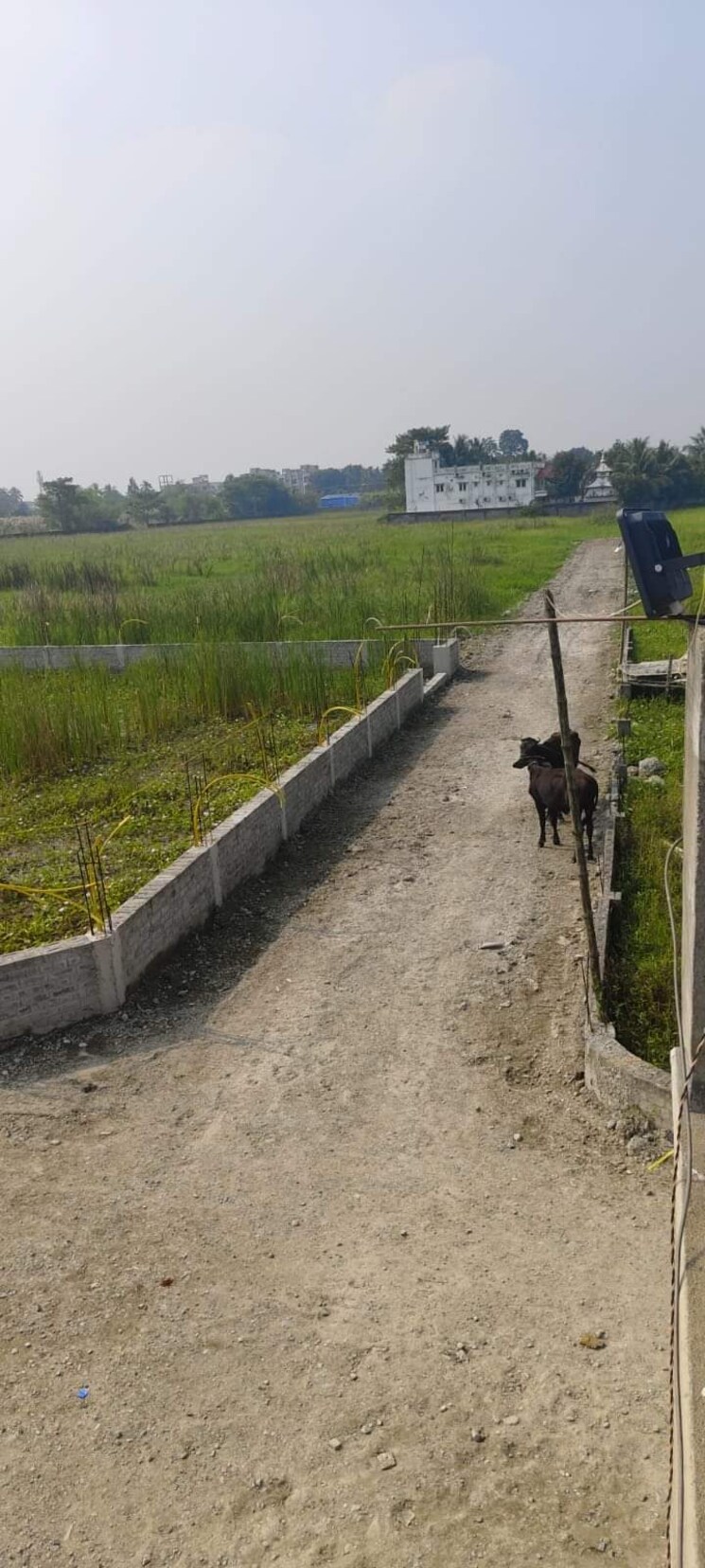 undefined, ballygunge  2160 Sq.Ft. Plot In Ballygunge Kolkata 8078800