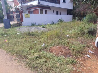 Plot For Resale in Pachapalayam Coimbatore  8078959