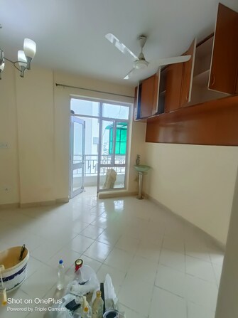 1.5 BHK Apartment For Rent in Maple Heights Sector 43 Gurgaon  8079009