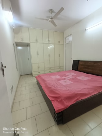 1.5 BHK Apartment For Rent in Maple Heights Sector 43 Gurgaon  8079009