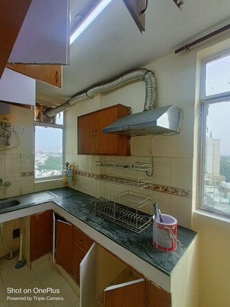 1.5 BHK Apartment For Rent in Maple Heights Sector 43 Gurgaon  8079009