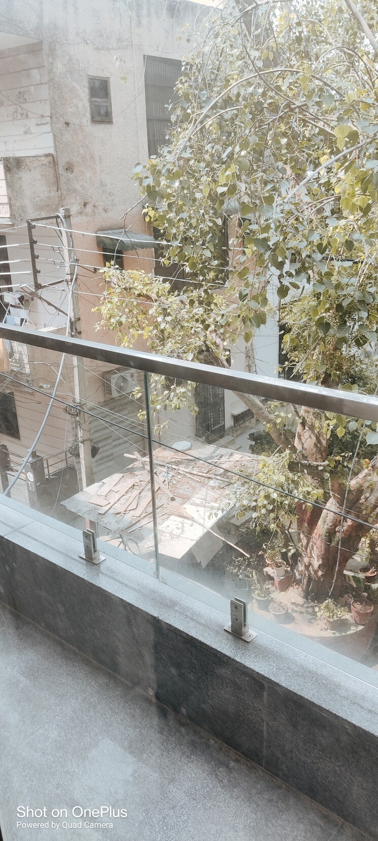 Balcony, rohini sector 11 3 Bedroom 1100 Sq.Ft. Builder Floor In Rohini Sector 11 Delhi 8079021