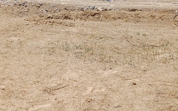 Industrial Plot For Sale in Sikri