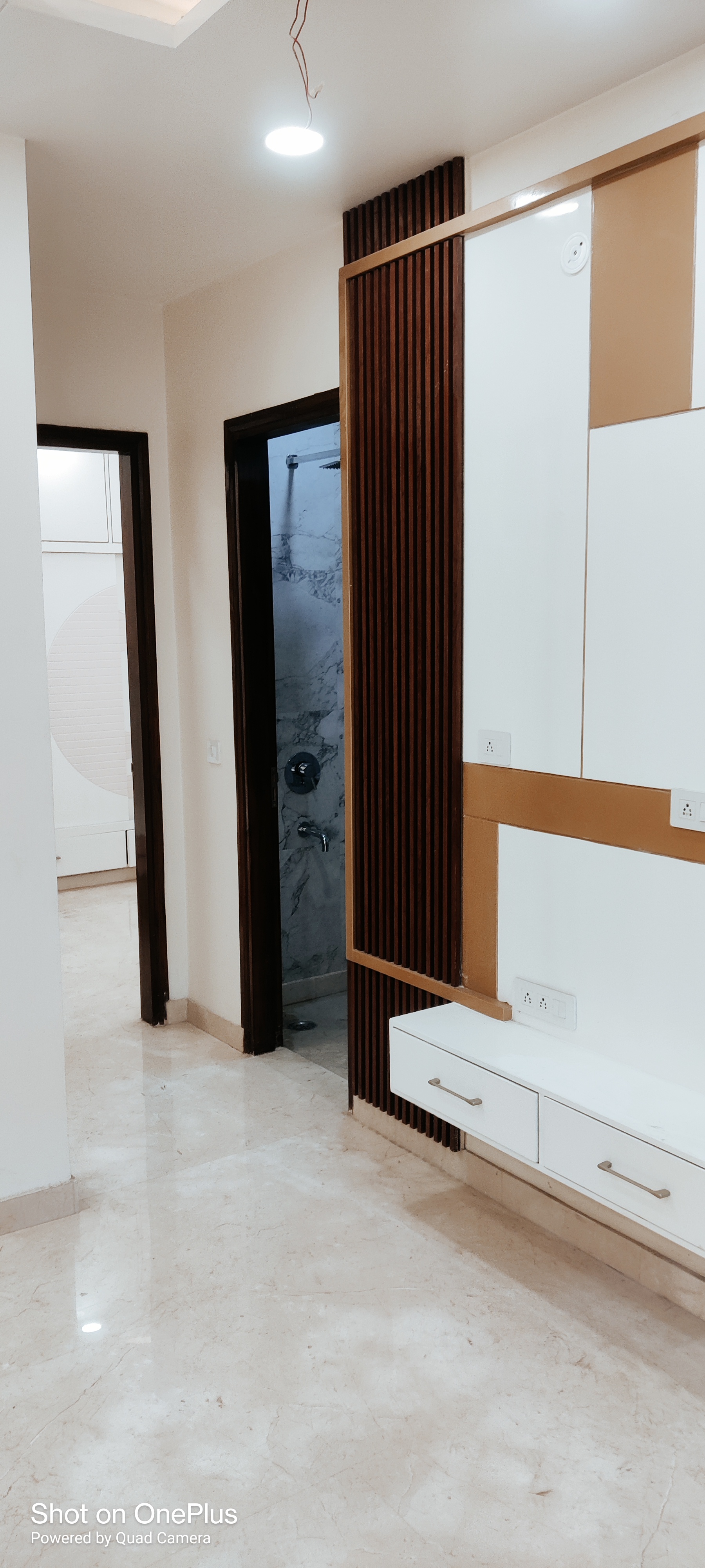 3 BHK + Extra Room Builder Floor For Sale in Rohini SeC-24