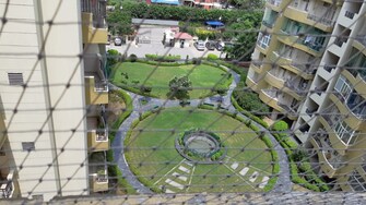 2 BHK Apartment For Rent in HRC Professional Indrapuram Ghaziabad  8079225