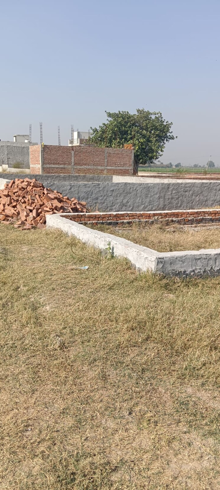 undefined, sector 49  100 Sq.Yd. Plot In Sector 49 Faridabad 8079234