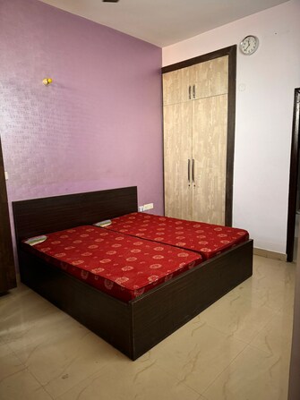 3 BHK Builder Floor For Rent in SRS Residency Sector 88 Faridabad  8079293