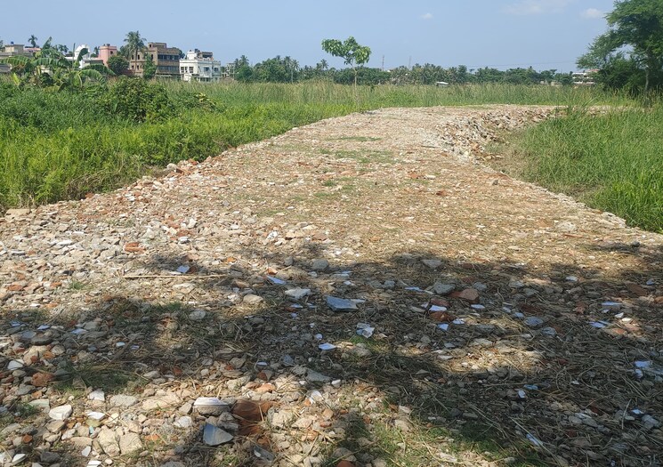 undefined, joka  2520 Sq.Ft. Plot In Joka Kolkata 8079311