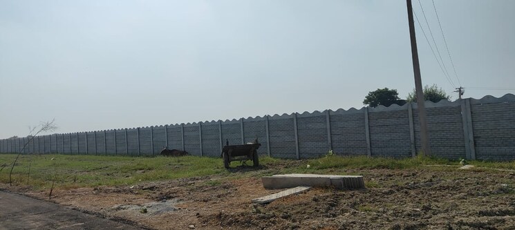 undefined, jewar  337 Sq.Yd. Plot In Jewar Greater Noida 8079337