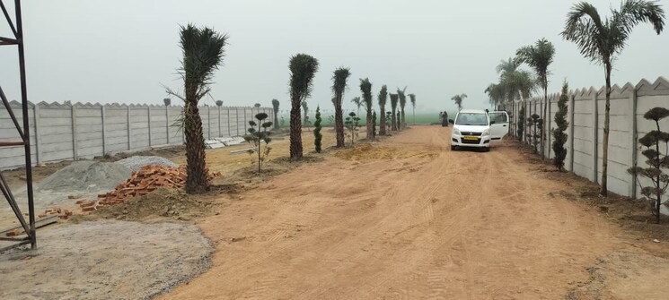 Exterior View, jewar  220 Sq.Yd. Plot In Jewar Greater Noida 8079355