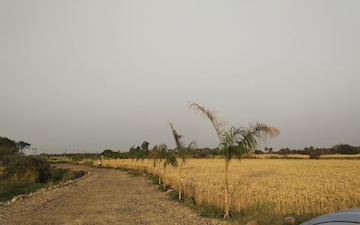 Plot For Sale in Meerut Cantt