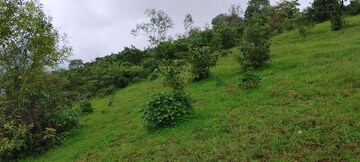  Plot – Garden View at Igatpuri - for Sale